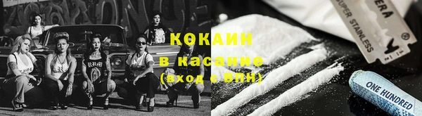 PSILOCYBIN Белокуриха