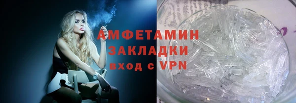 PSILOCYBIN Белокуриха