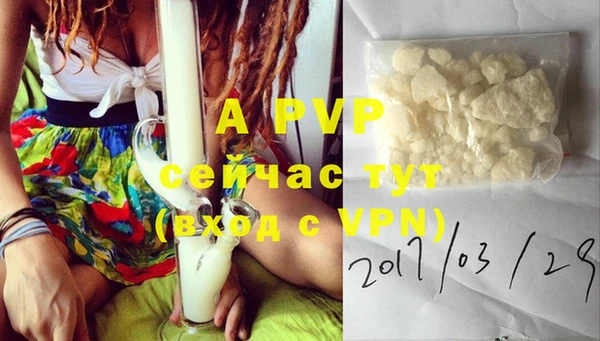 PSILOCYBIN Белокуриха