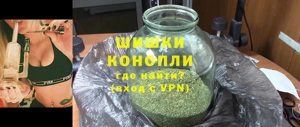 PSILOCYBIN Белокуриха