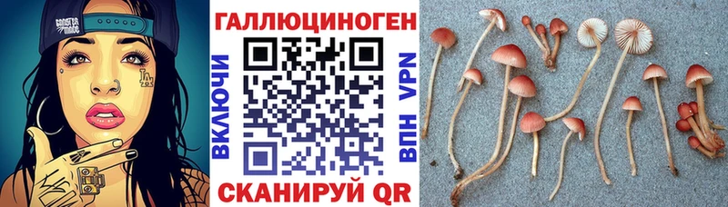 Галлюциногенные грибы GOLDEN TEACHER  закладка  Высоцк 